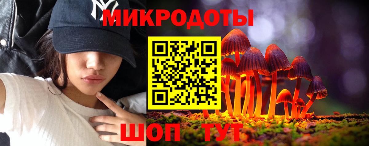 Псилоцибиновые грибы Cubensis Заволжье